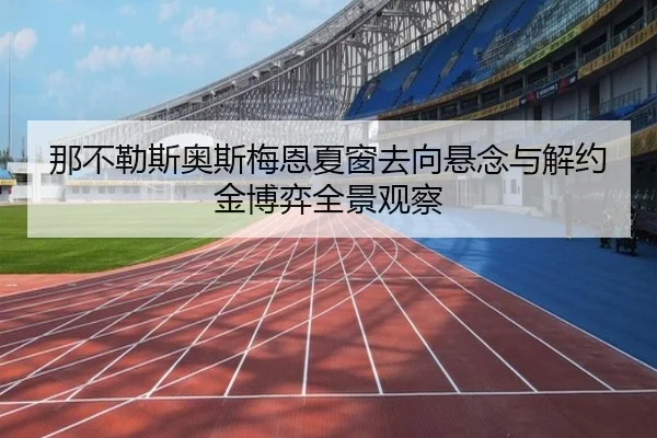 那不勒斯奥斯梅恩夏窗去向悬念与解约金博弈全景观察