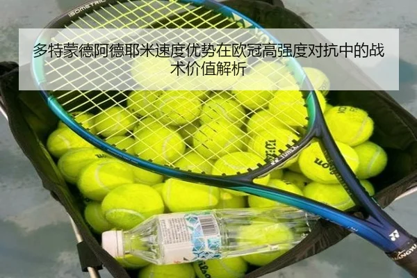 duo-te-meng-de-a-de-ye-mi-su-du-you-shi-zai-ou-guan-gao-qiang-du-dui-kang-zhong-de-zhan-shu-jia-zhi-jie-xi-2-389.jpg